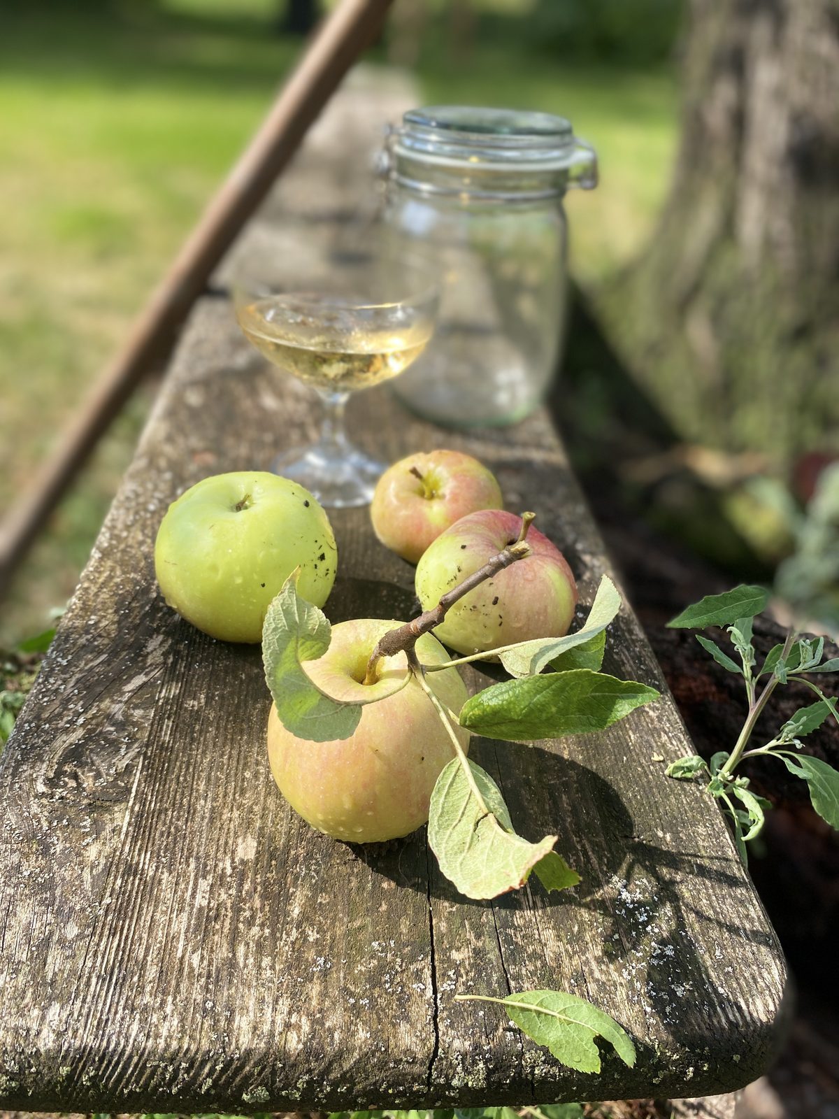 &Auml;pfel aus dem Garten und Weinglas Wachau Stratzing